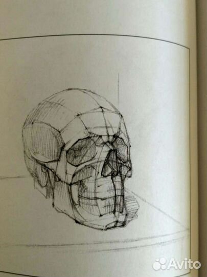 Основы учебного академического рисунка
