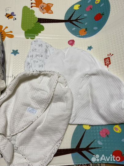 Кокон Зевушка