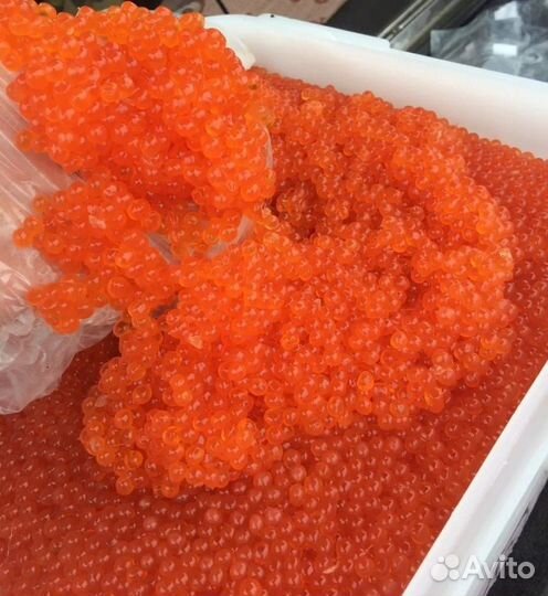 Икра горбуши 2023