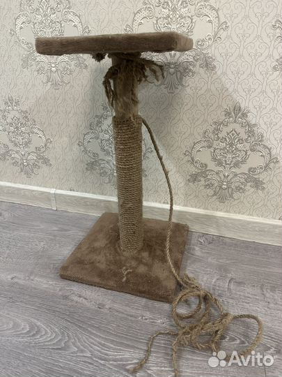 Когтеточка для кошек