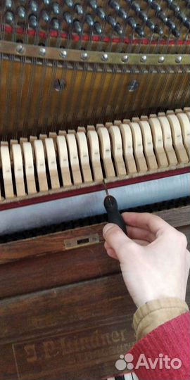 Настройка настройщик пианино фортепиано рояль