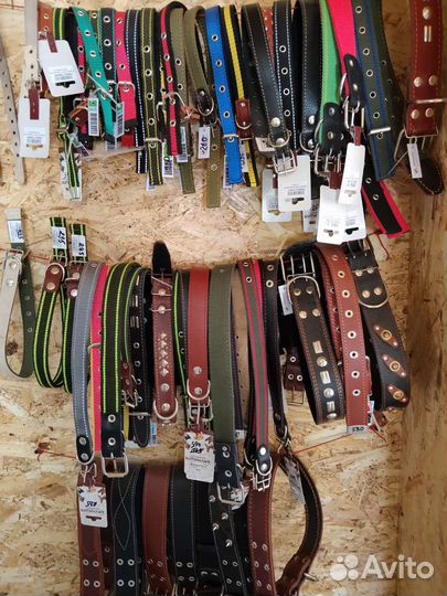 Ошейник для собак