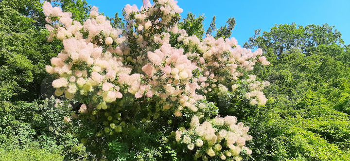 Дом 142 м² на участке 8,2 сот.