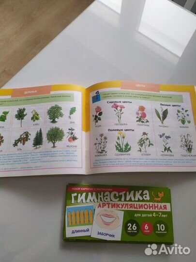 Логопедические пособия