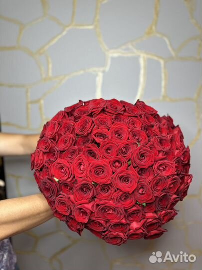 Роза 101 151 71 51 доставка цветы Сириус Адлер