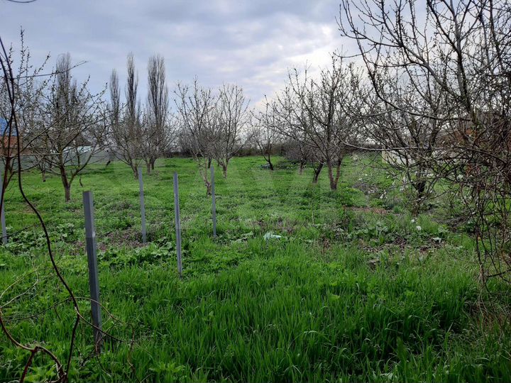 Участок 52 сот. (ИЖС)