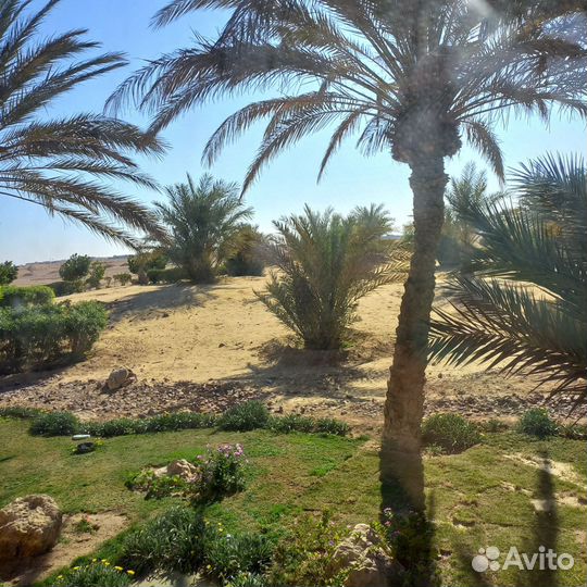 Уроки чтения Корана, правила таджвид, арабский