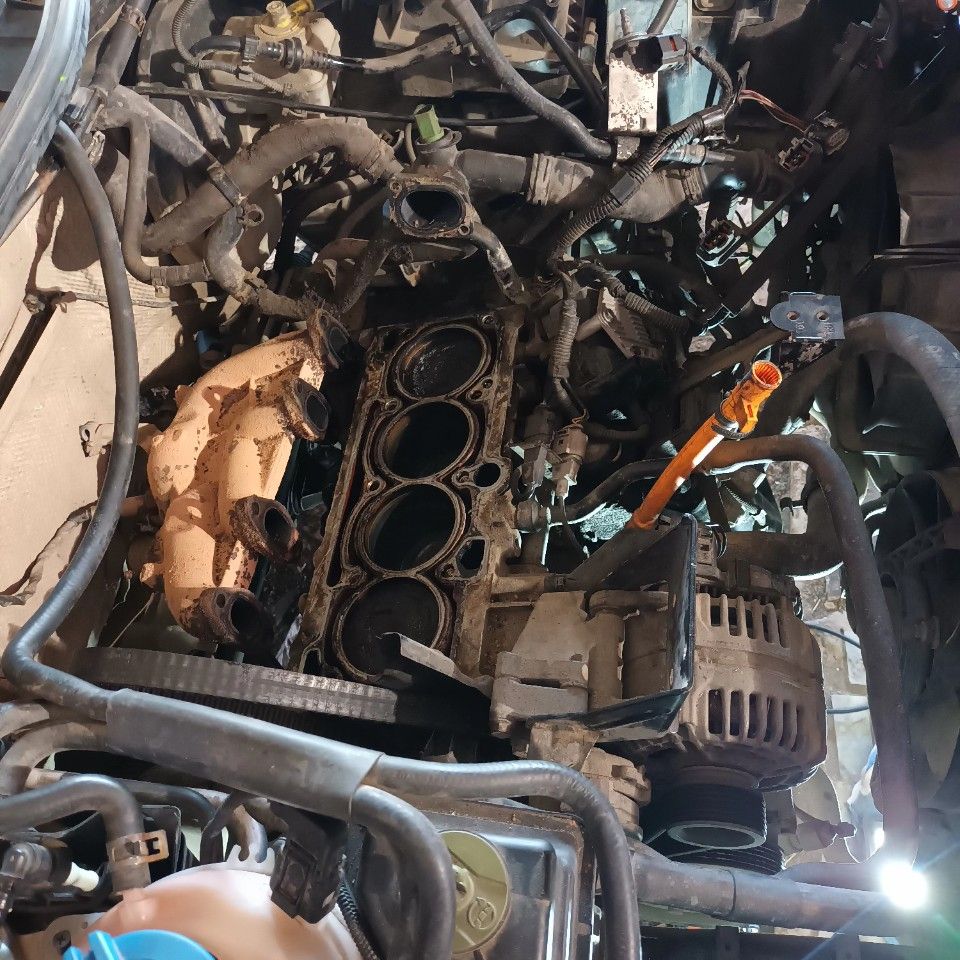 Skoda Octavia: фото владельца