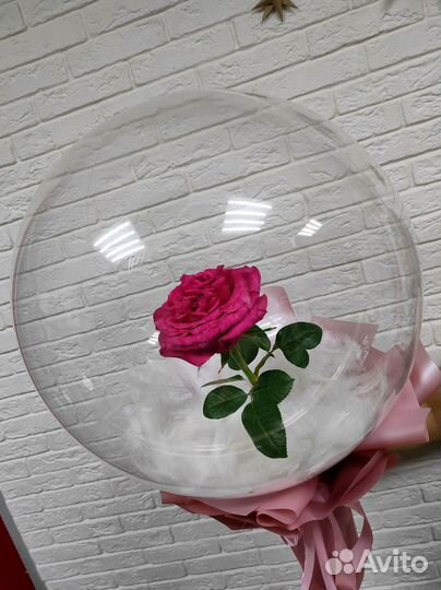 Воздушные шары со скидками Шары на любой праздник