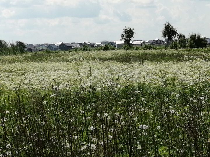 Участок 2,88 га (СНТ, ДНП)