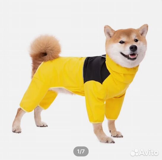 Дождевик для собак средней породы