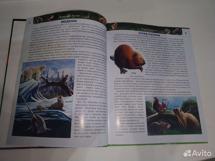 Энциклопедия 