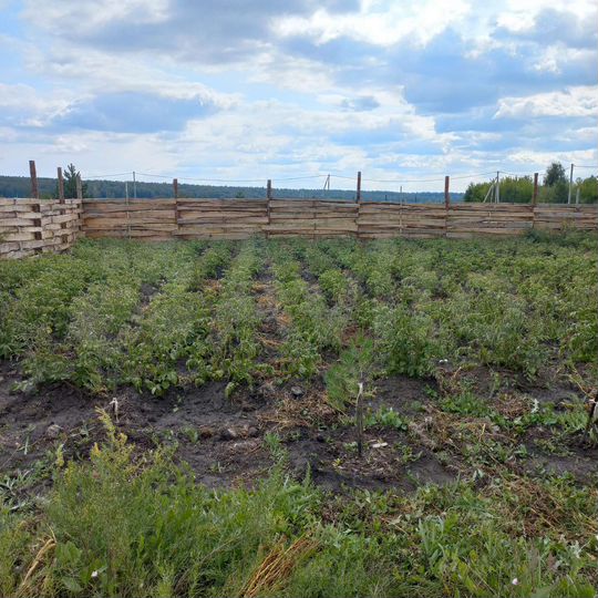 Участок 11 сот. (ИЖС)