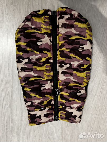 Одежда для маленьких собак