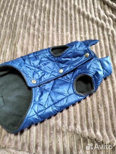 Жилетка для собак