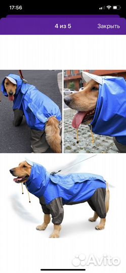 Дождевик для средней собаки