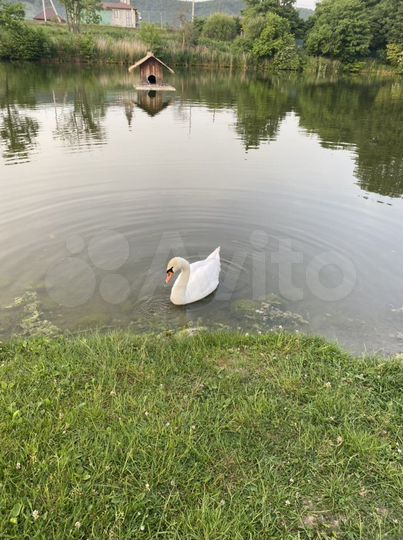 Участок 15 сот. (ИЖС)