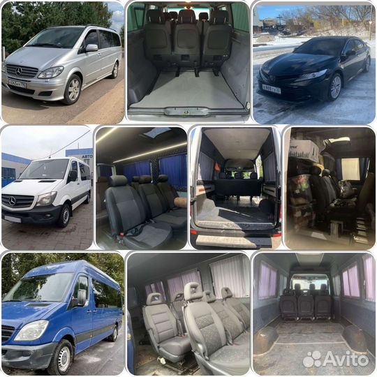 Поездки с животными РФ в Грузию,Турция,Сербия