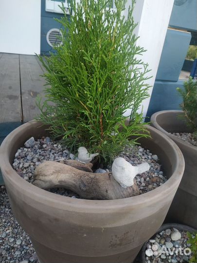 Декор для дома и сада. Птички из бетона