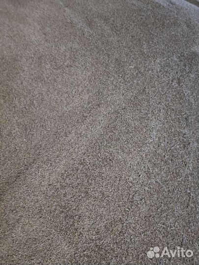 Зерно ячмень