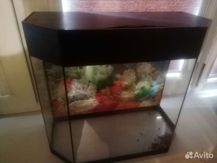 Аквариум 20 литров