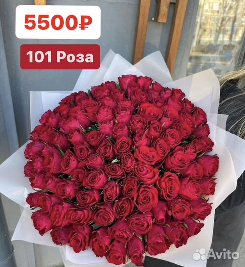 101 красная роза в Казани с доставкой