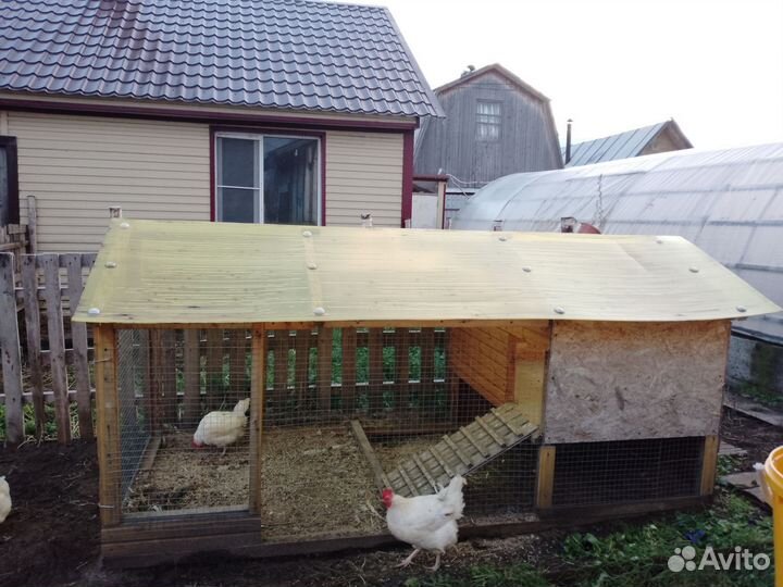 Клетка для кур, брудер для птенцов
