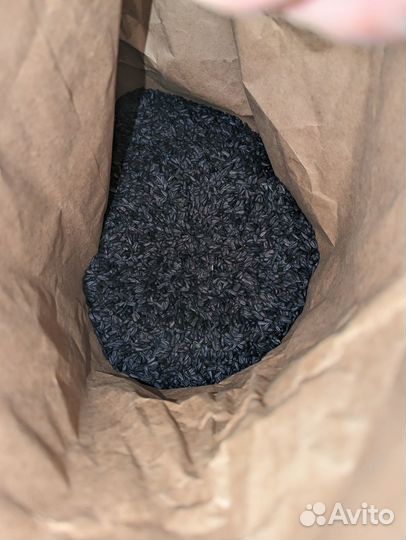 Семена подсолнуха suzuka семечка