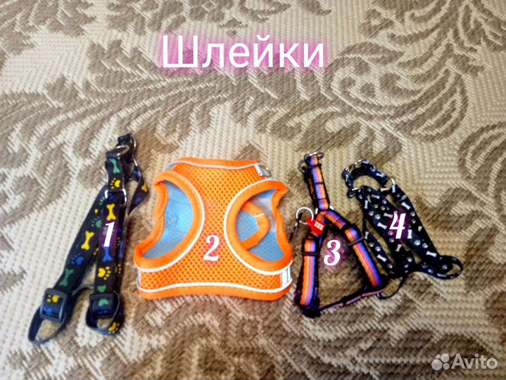 Амуниция для собак