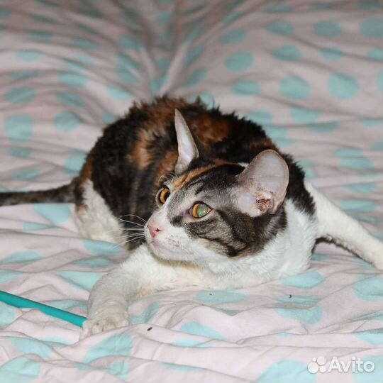 Ева с документами