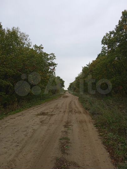 Участок 15 сот. (ИЖС)