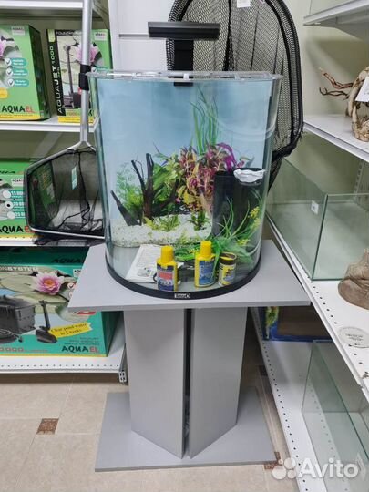 Аквариумы под ключ все размеры и формы гарантия