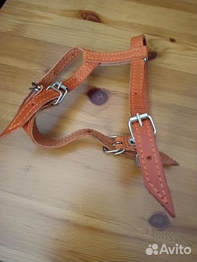 Шлейка и поводок для кошек