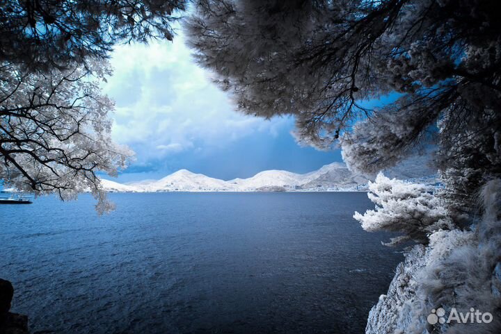 Фототехника: Sony A200 ик, CZ 16-80, M 50/1.4