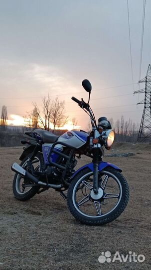 Motoland Alpha rx 110