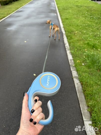 Поводок для собак до 25 кг, свободные руки