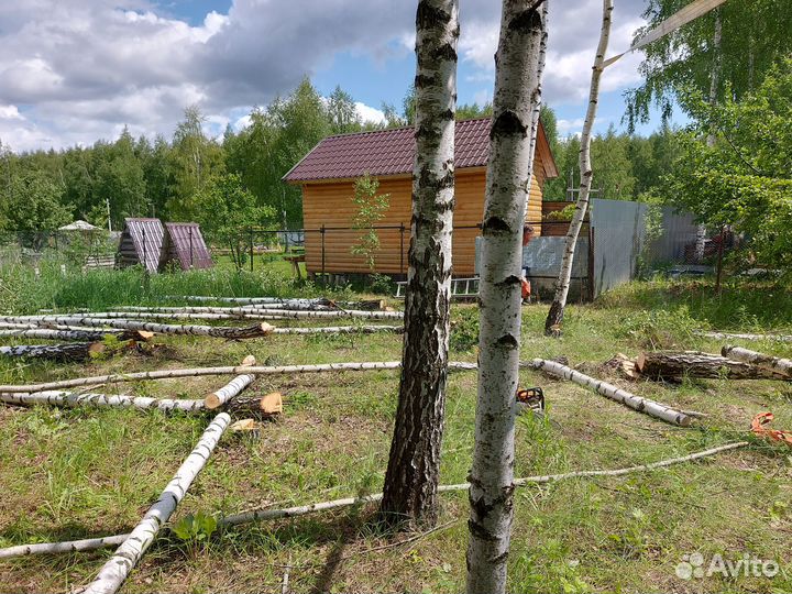 Расчистка от деревьев и кустарников, покос травы