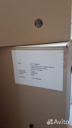 Инкубационное яйцо Индейки и Бройлера Импорт