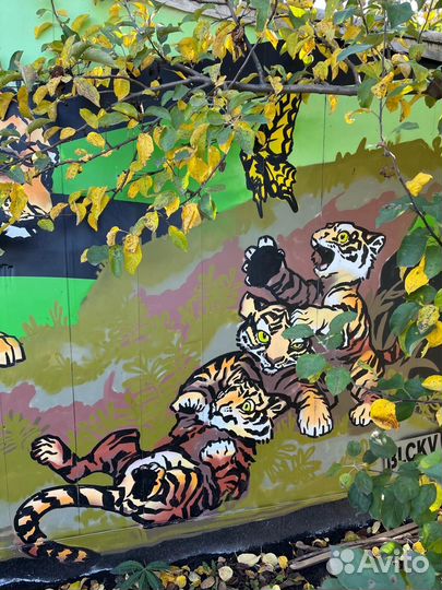 Граффити оформление стен, авто