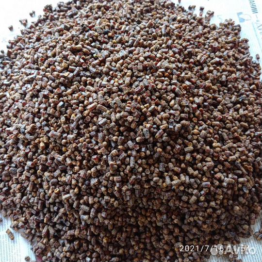 Перга в гранулах 2023 года