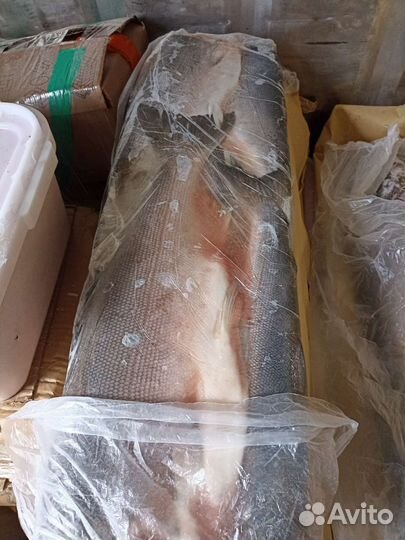 Рыба кижуч свежемороженый