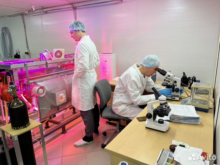 Живая микроводоросль Хлорелла 1 литр