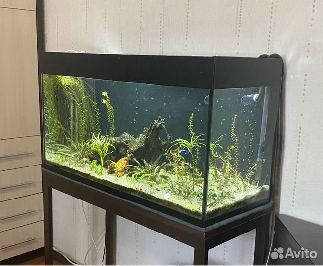 Аквариум