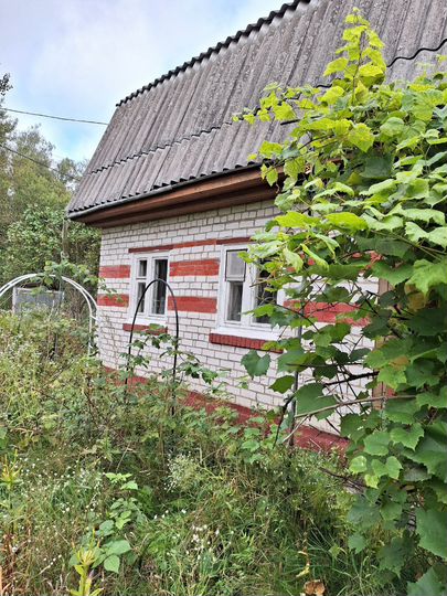 Участок 6 сот. (СНТ, ДНП)