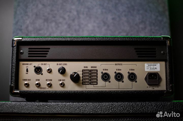 Басовый усилитель Yerasov Basstodon