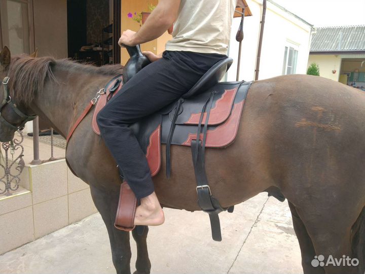 Седло для верховой езды