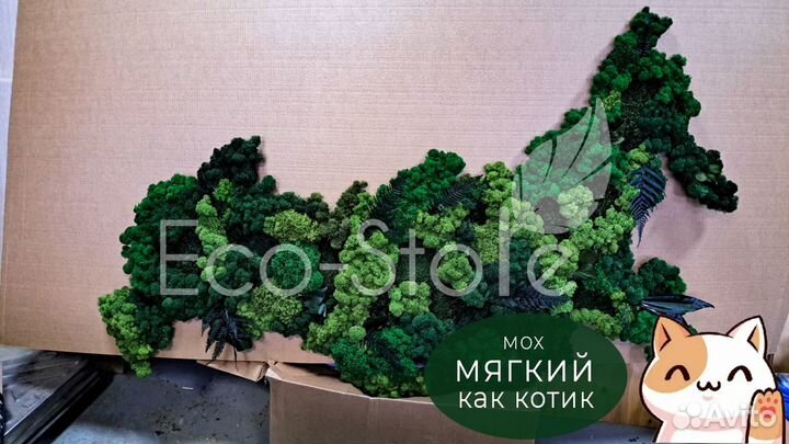 Карта мира со мхом в кафе