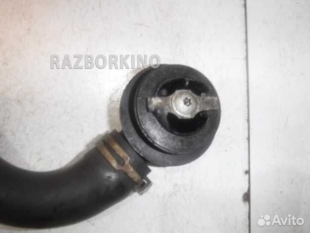 Маслозаливная горловина