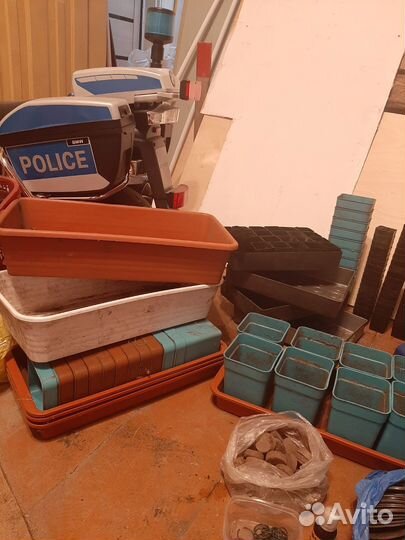 Поддоны для рассады