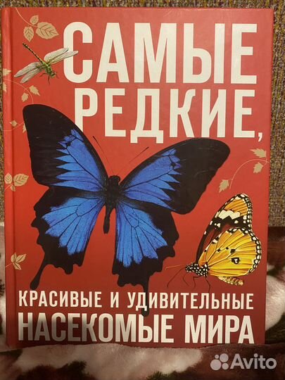 Книга новая